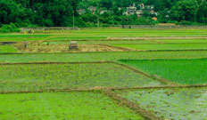 山東礦安重工礦用扒渣機公司