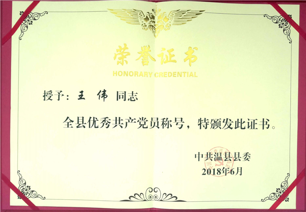 王偉2018年度被評為全縣優秀共產黨員稱號